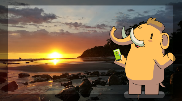 Mascota de Mastodon con un atardecer en una playa de Costa Rica